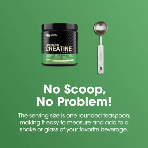 Optimum Nutrition Micronized Creatine Powder Unflavored 0.66 lb (60 Servings) Hrvatska | 42MTNYFIZ